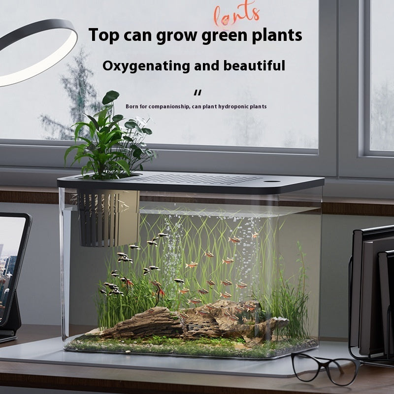 Mini Ecological Betta Tank with Cover - 32cm Desk Aquarium