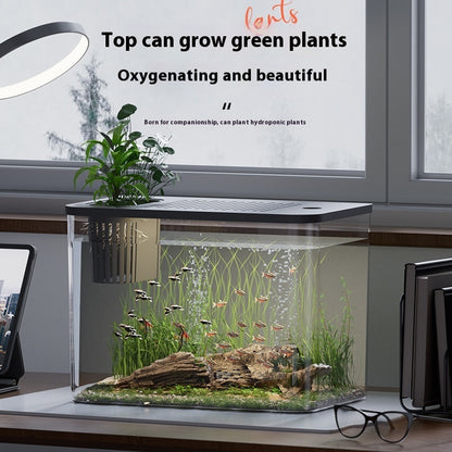 Mini Ecological Betta Tank with Cover - 32cm Desk Aquarium