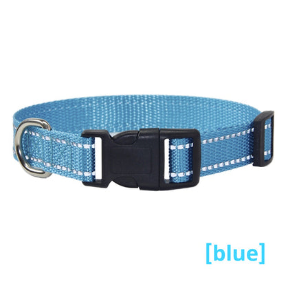 Reflective Dog Collar & Leash - Striped Outdoor Walking Set