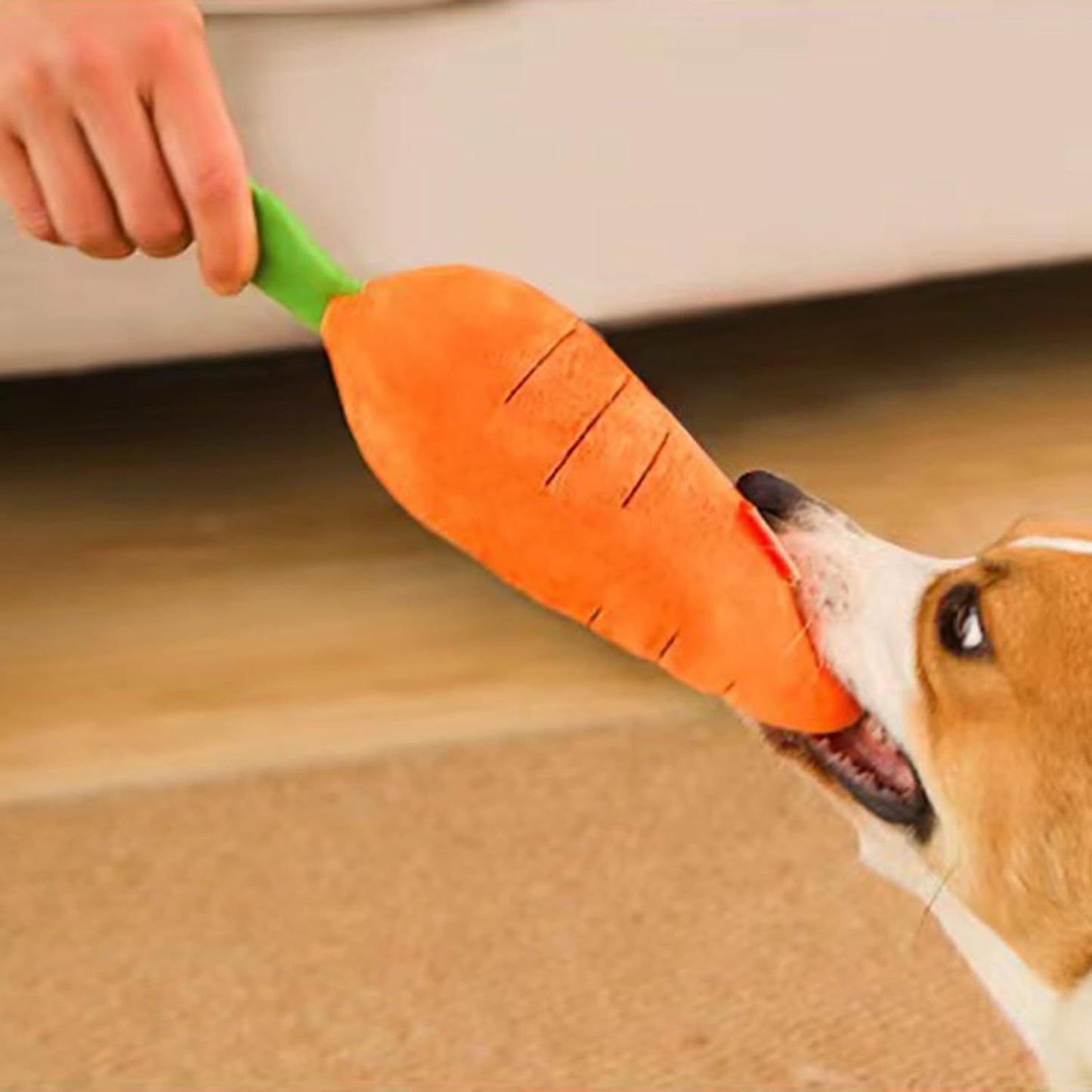 Cute Carrot Squeaky Dog Toy - Soft Plush Chew