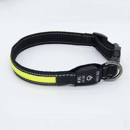 LED Dog Collar - USB-C Rechargeable Light-Up Mesh Collar