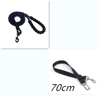Reflective Nylon Dog Leash with Padded Foam Handle