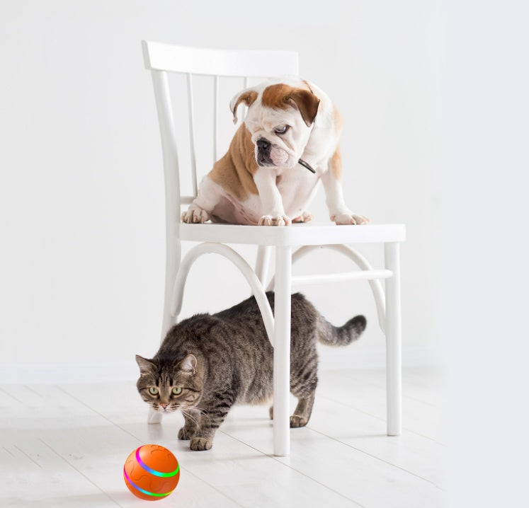 Smart Wicked Cat Ball Toy - USB Auto-Rotating Pet Ball