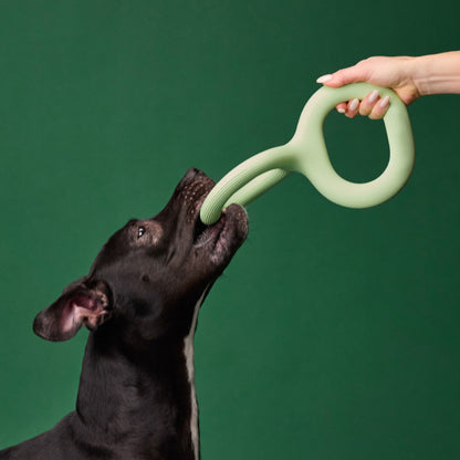 Rubber Dog Tug Toy - Bite-Resistant Pull Toy