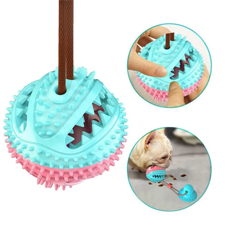 Suction Ball Interactive Dog Toy - Wall Mount Chew & Tug