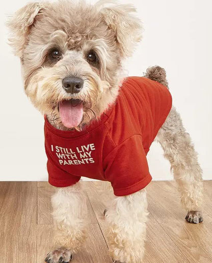 Round Neck Dog T-Shirt - Polyester Pet Tee