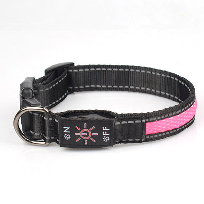LED Dog Collar - USB-C Rechargeable Light-Up Mesh Collar