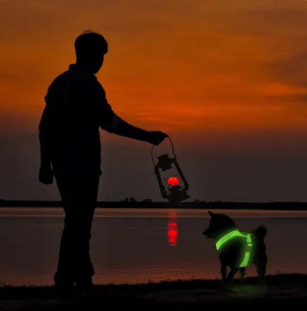 GlowPaws LED Dog Harness - Rechargeable Night Safety Mesh Harness