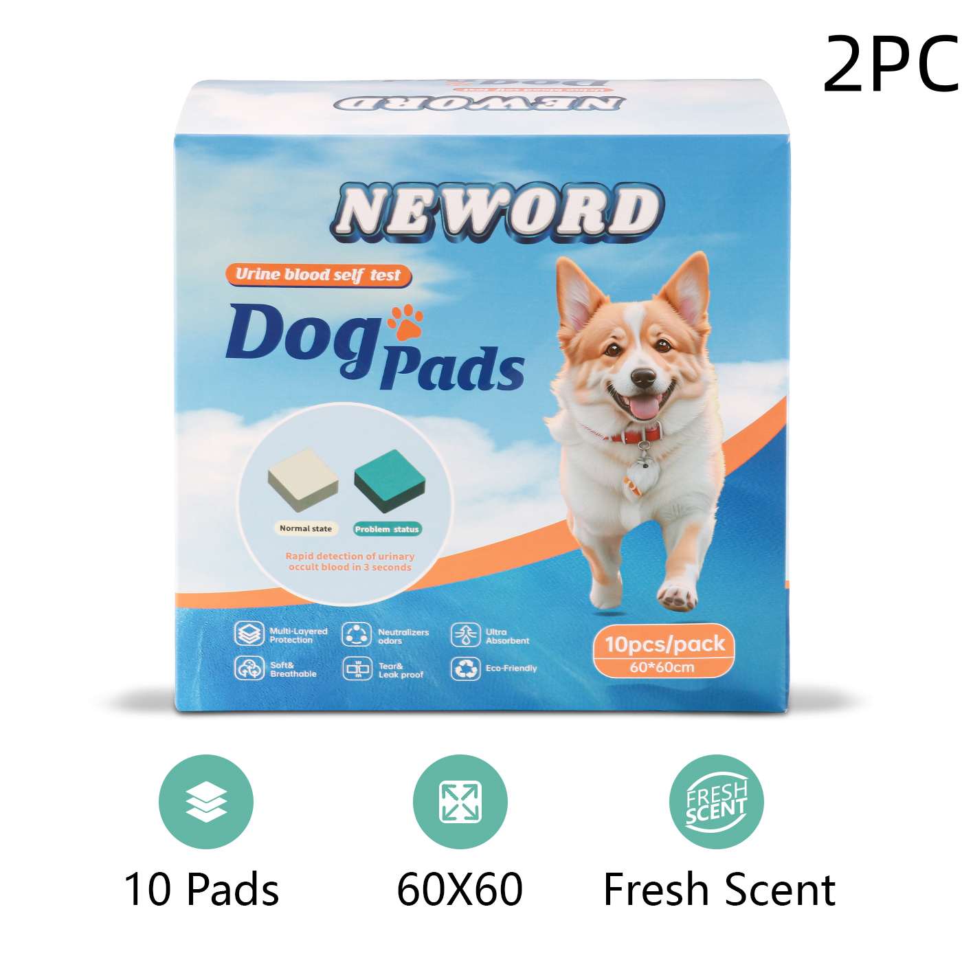 Dog Urine Detection Pads - 10-Pack Training Pads