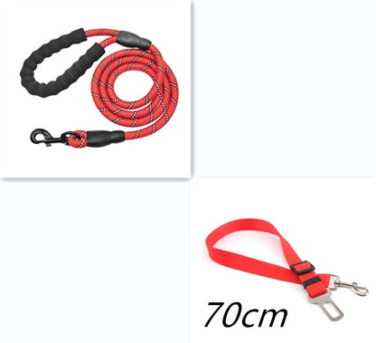 Reflective Nylon Dog Leash with Padded Foam Handle