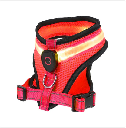 GlowPaws LED Dog Harness - Rechargeable Night Safety Mesh Harness