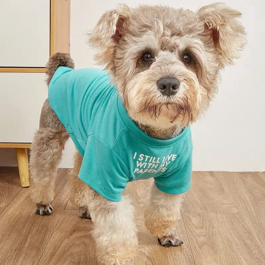Round Neck Dog T-Shirt - Polyester Pet Tee