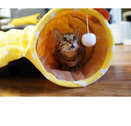 4-in-1 Cat Tunnel, Bed, Mat & Sleeping Bag - Multi-Use Nest