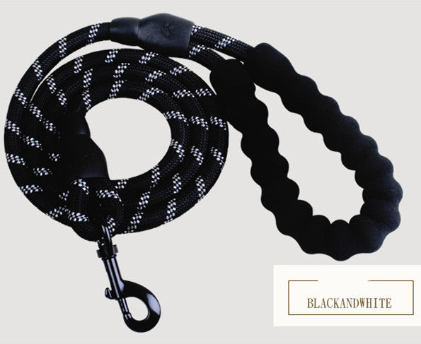 Reflective Nylon Dog Leash with Padded Foam Handle