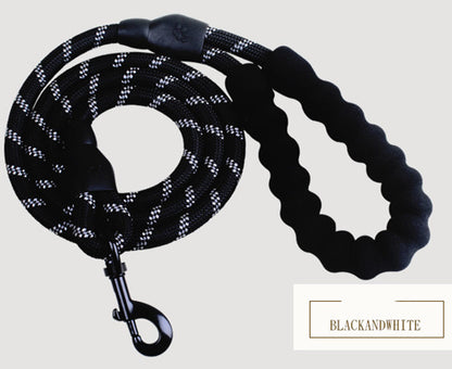 Reflective Nylon Dog Leash with Padded Foam Handle