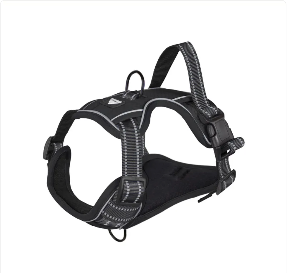Reflective Dog Harness with Leash - Polyester Walking Set