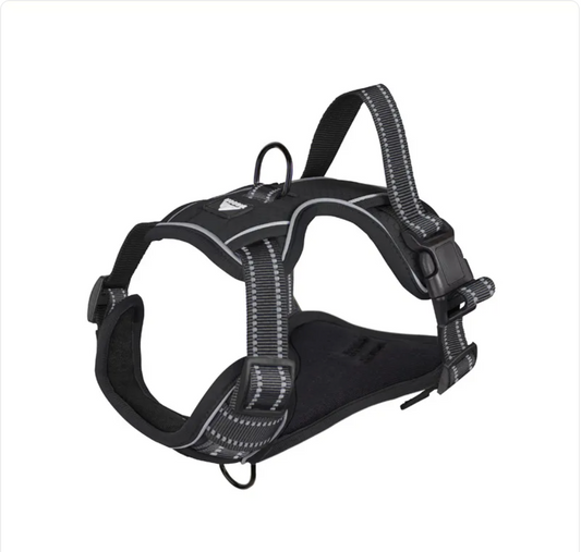 Reflective Dog Harness with Leash - Polyester Walking Set
