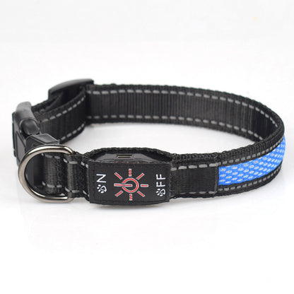 LED Dog Collar - USB-C Rechargeable Light-Up Mesh Collar