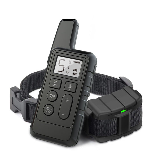 Black Dog Training Collar - Classic Obedience Collar