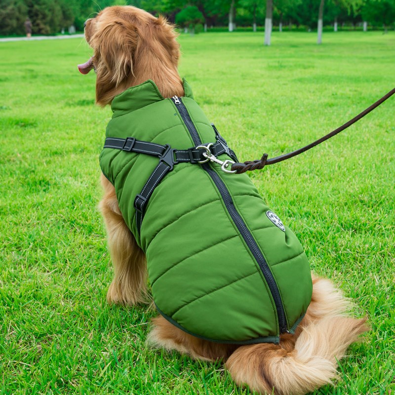 Waterproof Hooded Dog Coat - Winter Jacket for Small Breeds