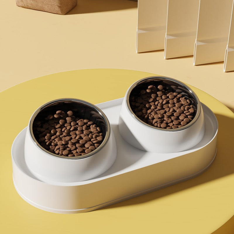 Tilted Double Pet Bowl - Elevated Neck-Protecting Feeder