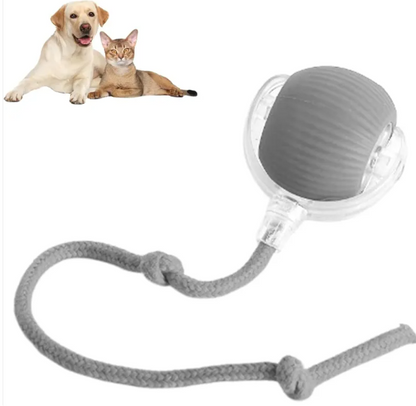 Smart Rolling Pet Ball - Auto-Moving Cat & Dog Toy