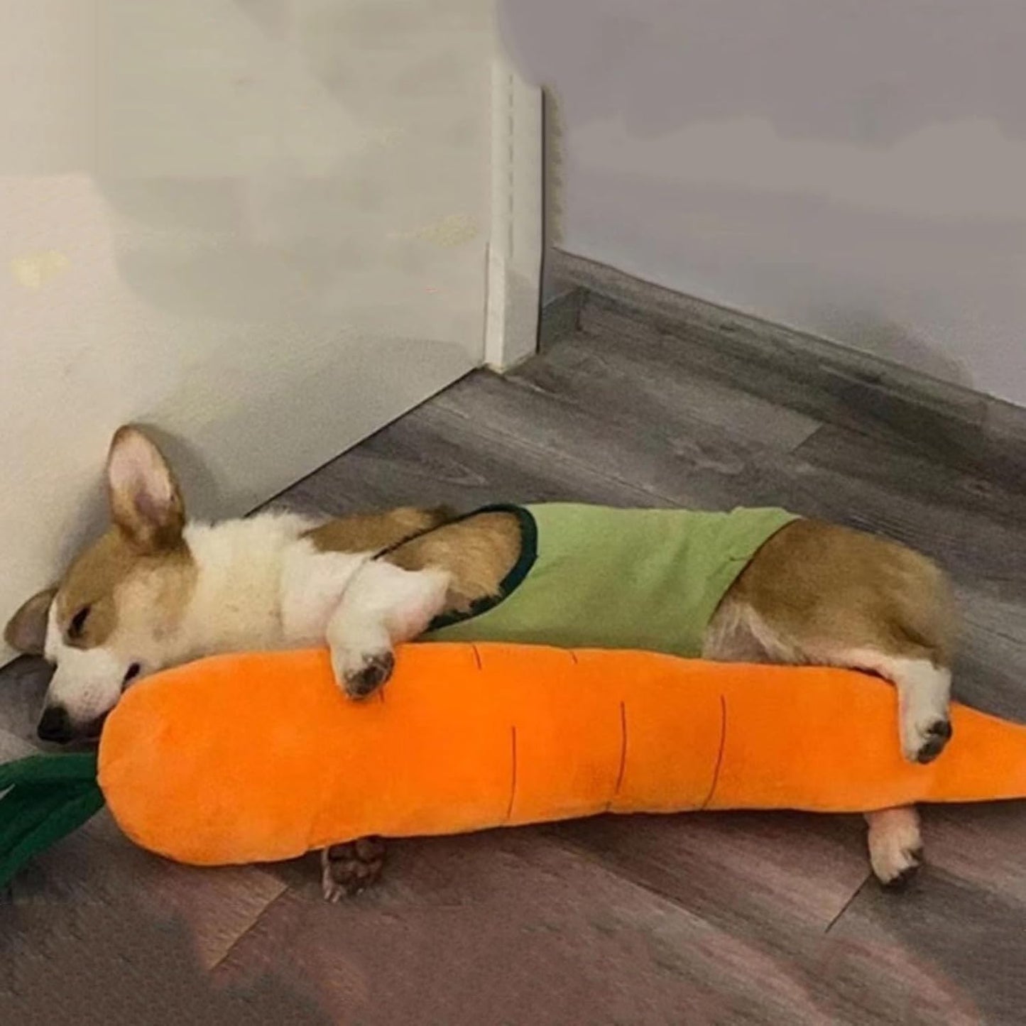 Cute Carrot Squeaky Dog Toy - Soft Plush Chew