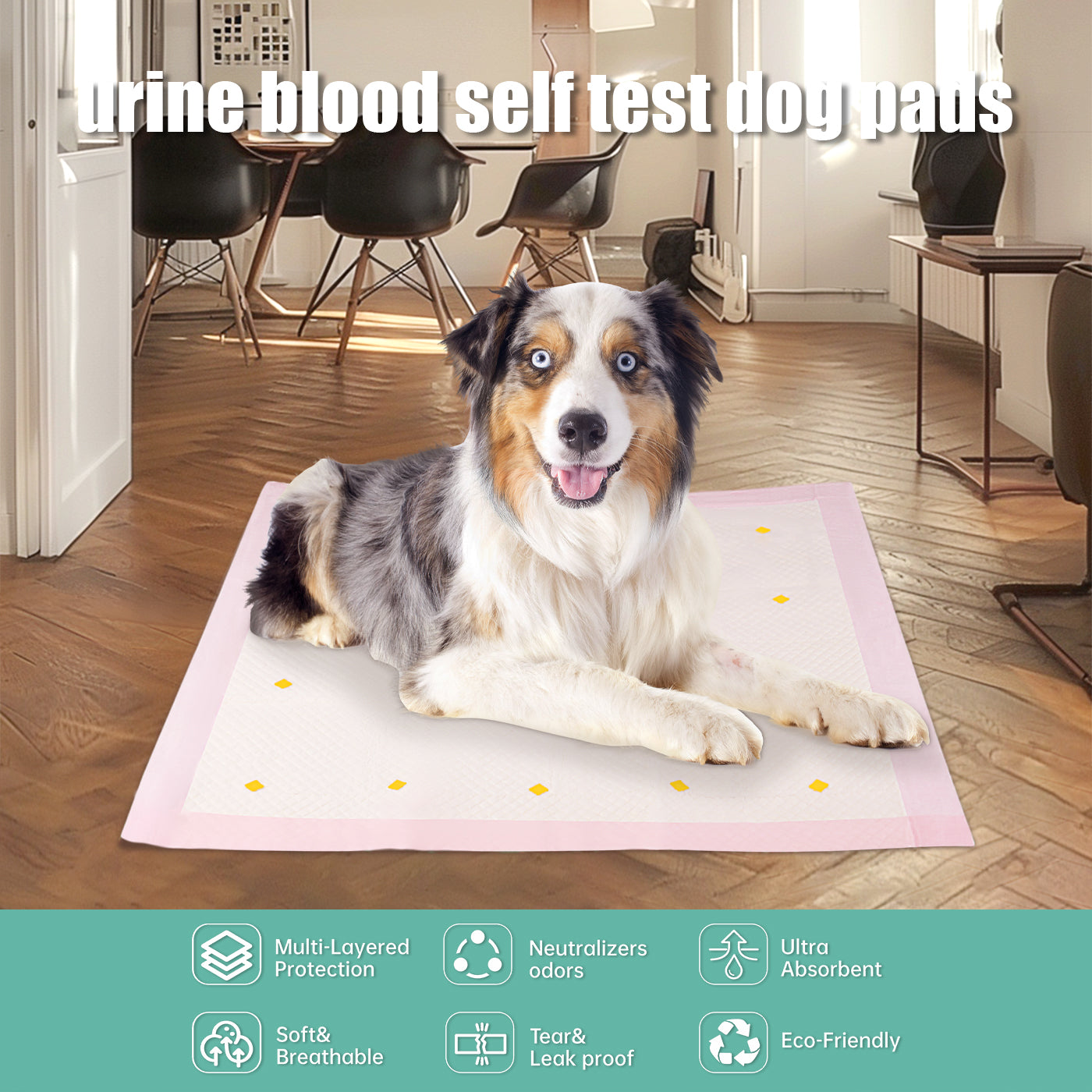 Dog Urine Detection Pads - 10-Pack Training Pads