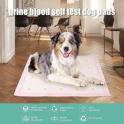 Dog Urine Detection Pads - 10-Pack Training Pads