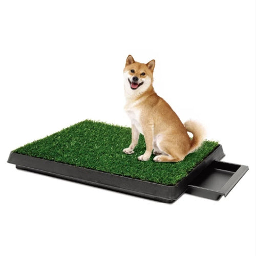 Pet Grass Potty Pad - Indoor Dog & Cat Lawn Toilet