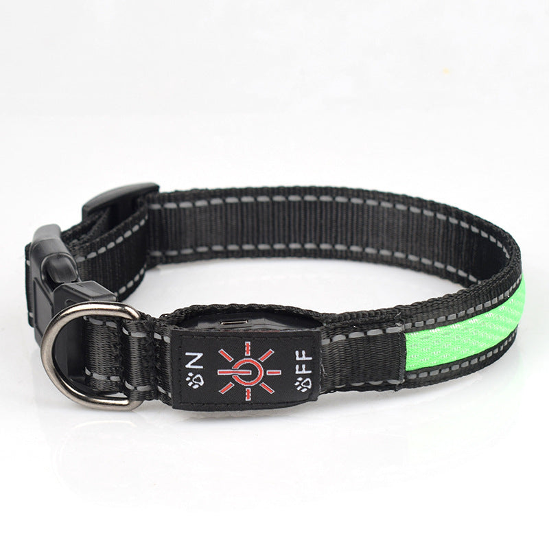 LED Dog Collar - USB-C Rechargeable Light-Up Mesh Collar