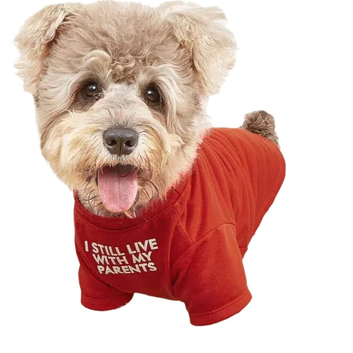 Round Neck Dog T-Shirt - Polyester Pet Tee