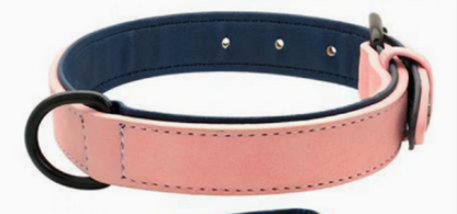 Adjustable Dog Collar & Leash Set - Eco-Friendly PVC