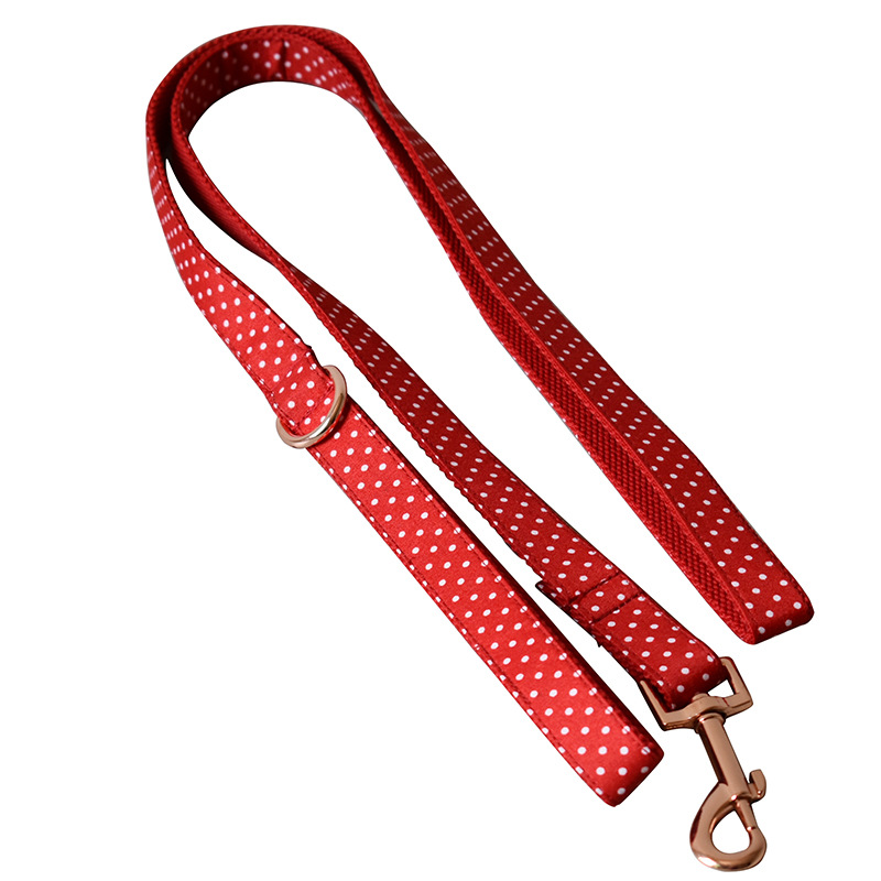 Red Dot Dog Collar & Leash Set with Bow Tie - Stylish Walking Set