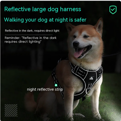 Reflective Dog Harness with Leash - Polyester Walking Set