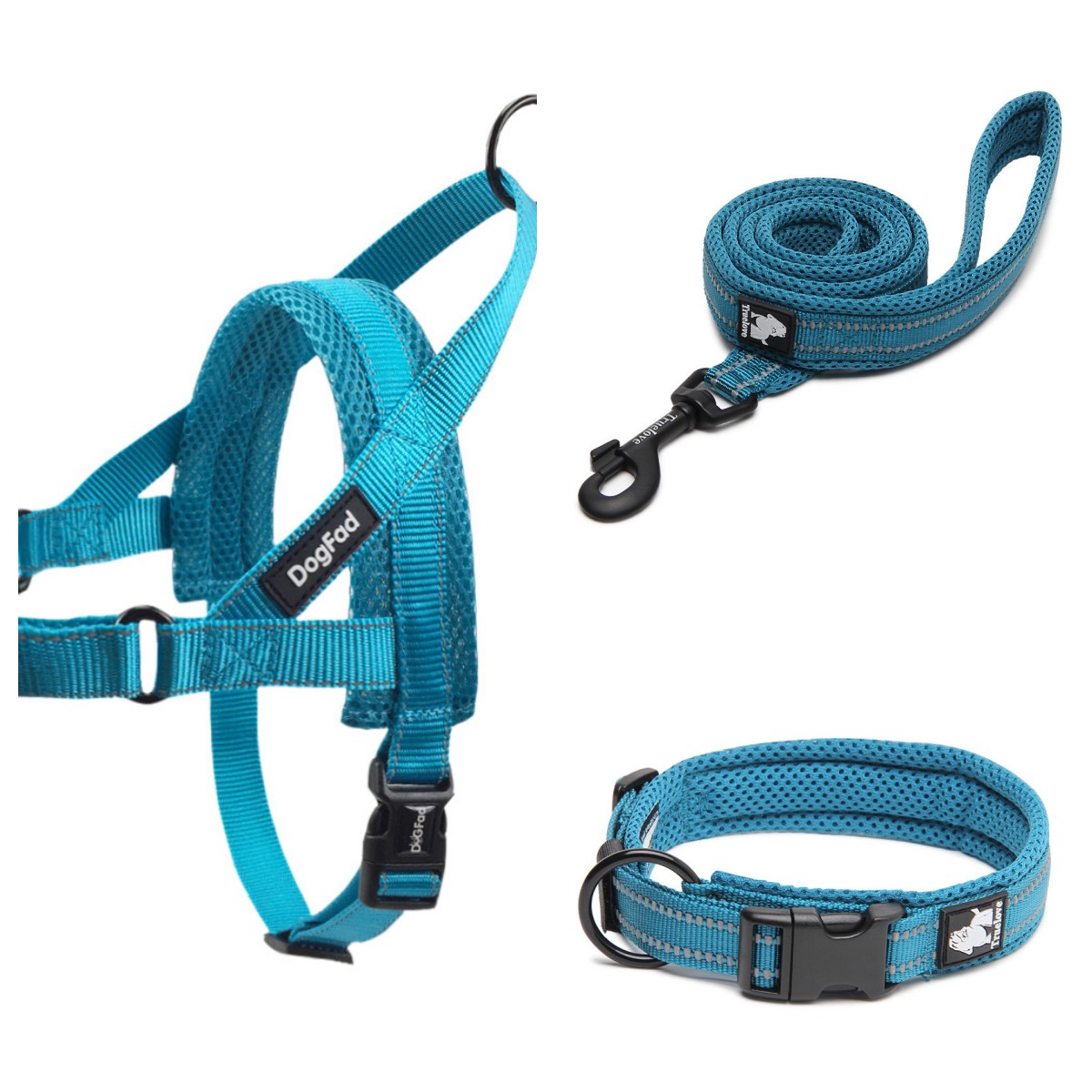 Nylon Dog Leash - Strong Walking Lead for All Breeds