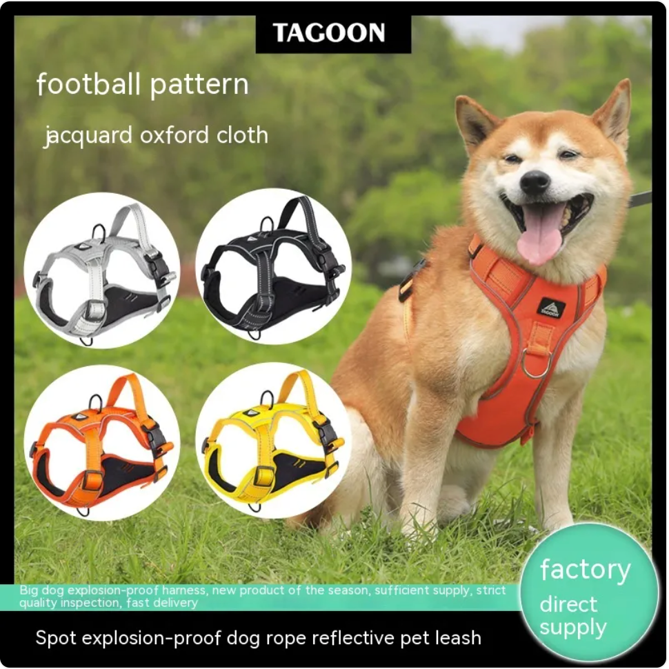 Reflective Dog Harness with Leash - Polyester Walking Set