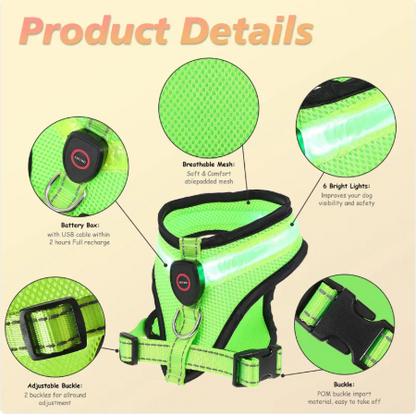 GlowPaws LED Dog Harness - Rechargeable Night Safety Mesh Harness